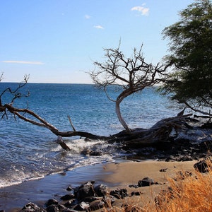 Coast of Hawaii