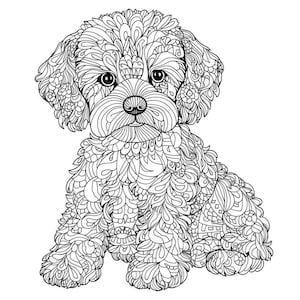 May include: A black and white line drawing of a poodle puppy with intricate patterns and swirls throughout the fur. The puppy is sitting with its front paws crossed and its head tilted slightly to the side.