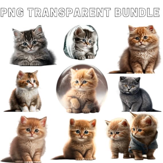 Cute Cat/kitten Collage Pack PNG Digital Download Only