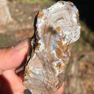 Banded Buckskin Carnelian Agate Rare - 222g
