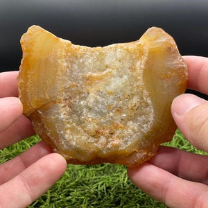 Carnelian Agate from Oregon 501g