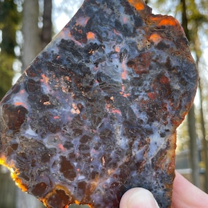 Brecciated Jasper Slab - Badger Slabs