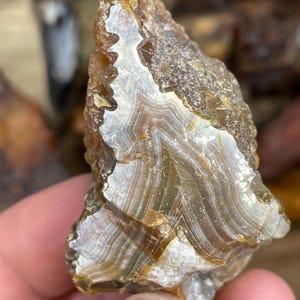 Banded Agate Rough from Washington - 58g