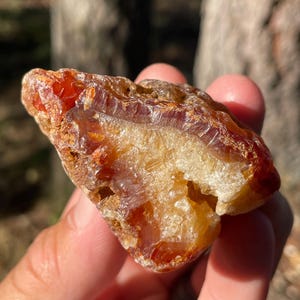 Carnelian Agate Uncut - 98g