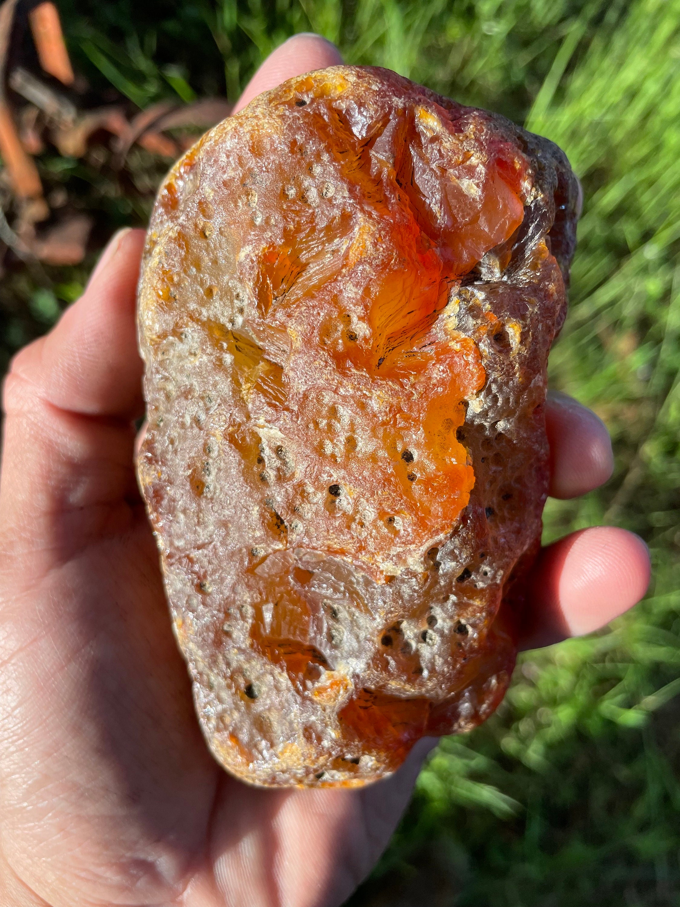 1 Lb 7.3 Oz Carnelian Agate From Washington - Etsy