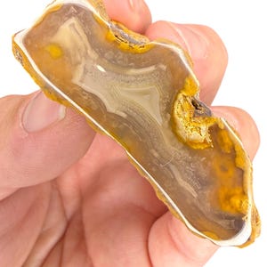May include: A polished agate stone with a layered, banded pattern. The stone features shades of yellow, brown, and white, with a translucent quality. The agate is held in a hand against a white background.