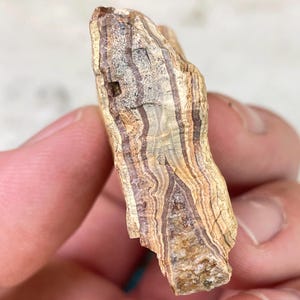 Carnelian Agate from Washington