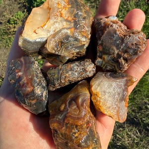 May include: A collection of six raw agate stones featuring banded patterns in shades of amber, brown, cream, and translucent grey. The stones have irregular, jagged shapes with a mix of smooth, polished-looking surfaces and rough, textured edges.