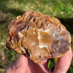 Carnelian Agate Uncut Rough Banded
