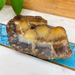 Carnelian Agate from Washington 203g