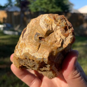 Buckskin Banded Carnelian Agate Uncut - 1 lb 4 oz