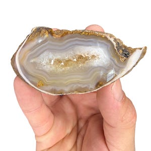 May include: A polished agate stone with a geode center, held in a hand. The stone features bands of gray, white, and tan colors, with a sparkling crystal-filled cavity. The outer edge has a rough, brown texture.
