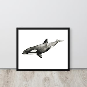Orca (Killer) Whale Watercolor Painting