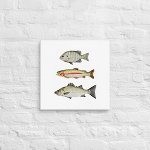 Four Fish Watercolor Painting Canvas