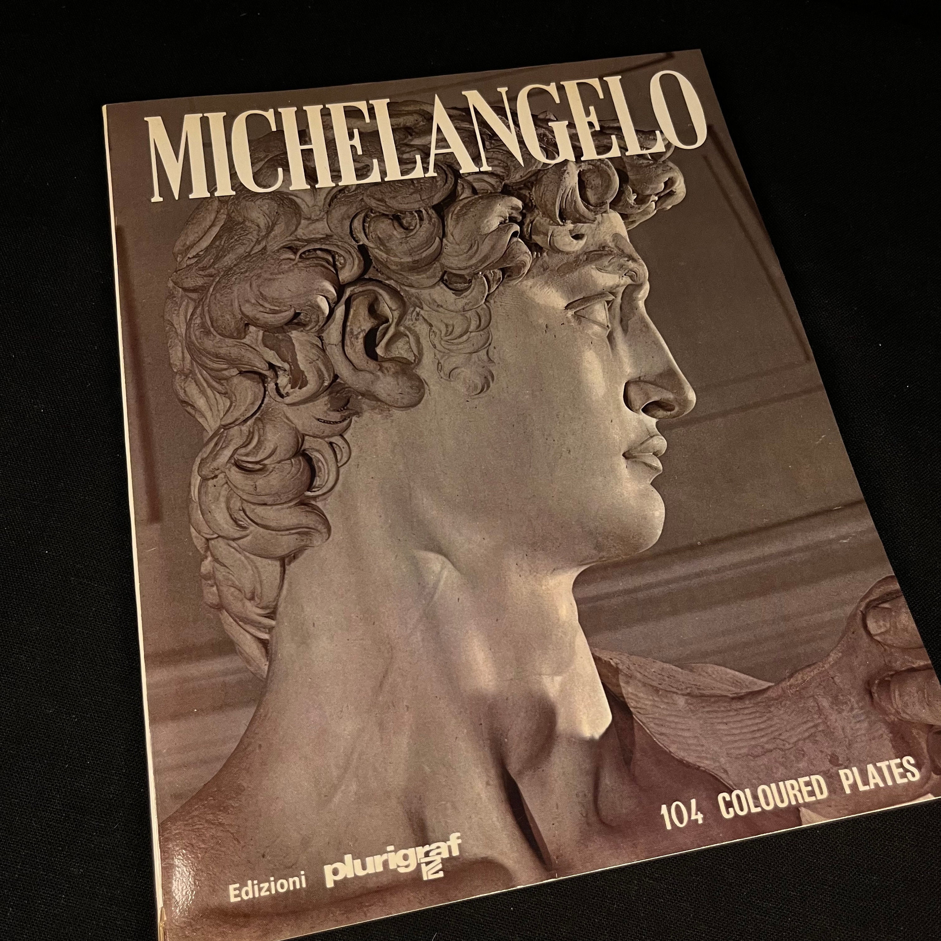その他 Biography: Michelangelo [VHS] Teenage Mutant Ninja Turtles: Michelangelo Meets Bugman VHS Tape