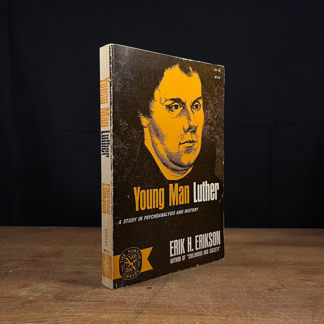 Young Man Luther Erikson ペーパーバック il_1080xN.5849940360_kak4.jpg