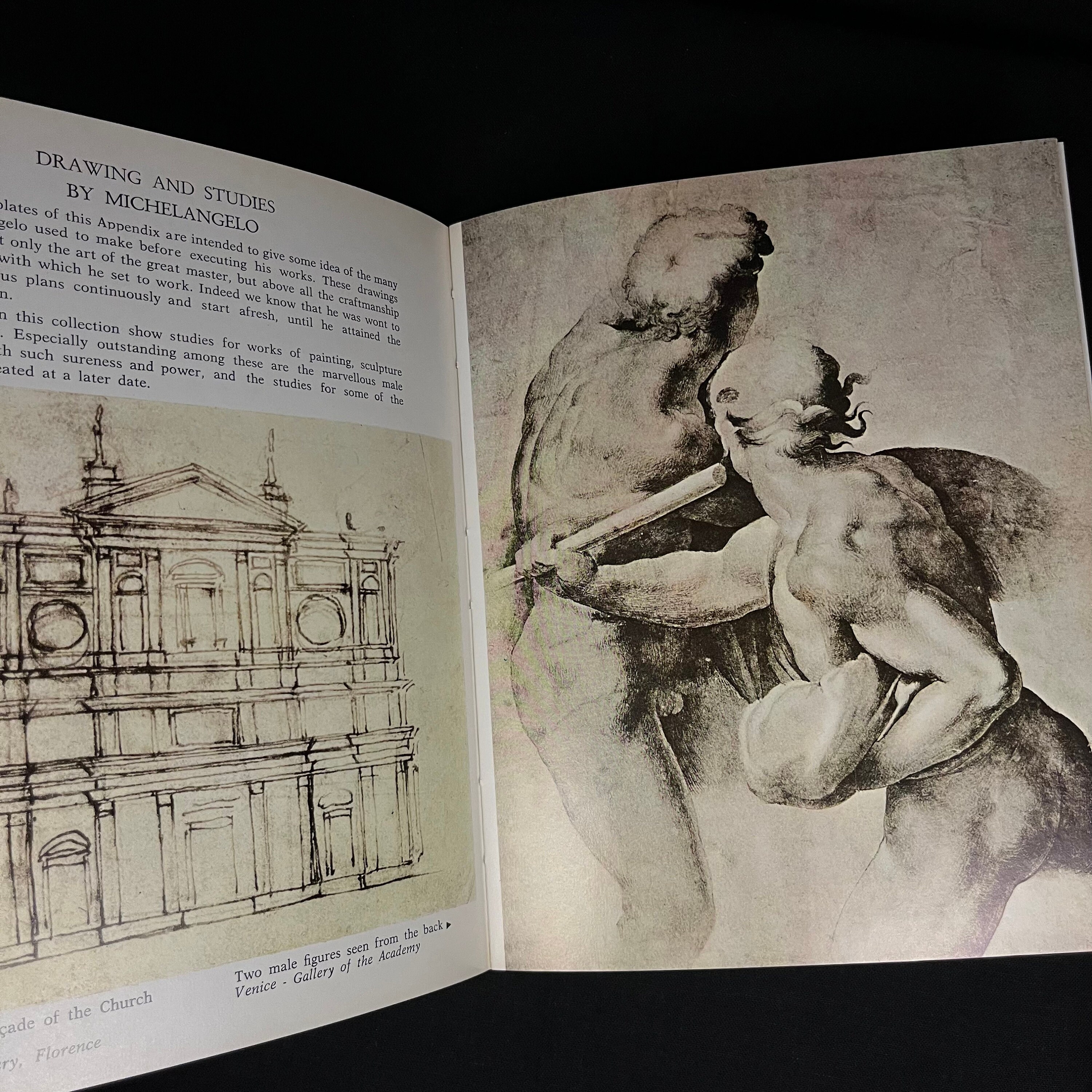 Michelangelo: Painter - Sculptor - Architect by Loretta Santini