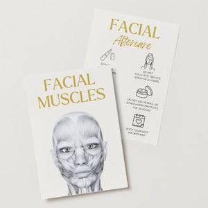 Printable Aesthetics Anatomy Posters,Aesthetic Poster, Face Anatomy Art, Beauty Salon Decor, Skin Anatomy, Beauty Clinic Decor, Med Spa Art