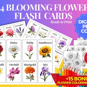 FLORES • Cartões Montessori imprimíveis com 24 pacotes + BÔNUS 15 páginas para colorir bônus, cartões educativos para crianças, PDF digital, download INSTANTÂNEO