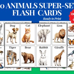 SUPERCONJUNTO DE ANIMAIS • Cartões Montessori imprimíveis com 80 pacotes, cartões educativos para crianças, pássaros, insetos, vida marinha, PDF digital, download instantâneo