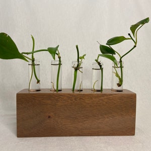 Mahogany Propagation Station | Wooden plant decor | Plant lover gift | Glass propagation tubes