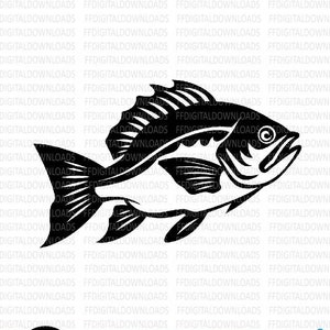 Pez lubina Svg, diseño de pesca, pescador Svg, Png, archivos Eps para Cricut y otras máquinas de corte de vinilo, descarga digital
