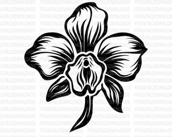 蘭の SVG、花の SVG、蘭の PNG、蘭のクリップアート、蘭のベクター、シルエット、EPS、クリカット、カット ファイル、クリップアート、デジタル ダウンロード