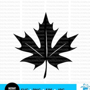 Foglia d&#39;acero SVG, Foglia d&#39;acero PNG, Foglia d&#39;acero Clipart, Autunno svg, Vettore, Silhouette, EPS, Cricut, File di taglio, Clipart, Download digitale