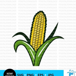 Corn SVG, Corn PNG, Corn Clipart, Corn Vector, Husked Corn svg, Corn on the Cob, Silhouette, EPS, Cricut Cut File, Clipart, Digital Download