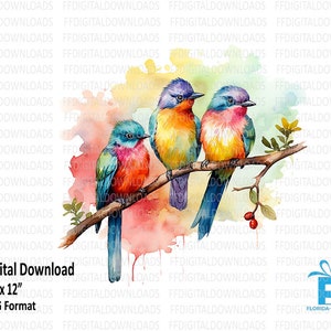 Pássaros PNG, Pássaros Coloridos Clipart, Pássaros Aquarela, Pássaros em galho, Pássaros Bonitos, Sublimação, Imprimível, Download Digital. #4090