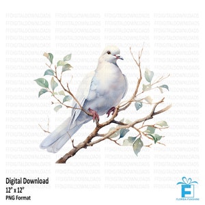 Dove Clipart, Dove PNG, Watercolor Dove png, Dove Image, Dove Bird Clipart, Printable, Sublimation, Printable, Digital Download, #5450