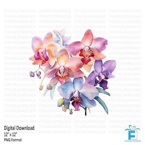Orchids Clipart, Orchids Png, Watercolor Orchids, Flower Clipart, Colored orchids Sublimation, Printable art, Digital download #5658