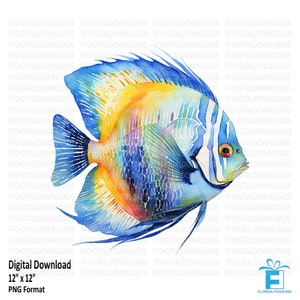 Angel Fish Clipart, Angel Fish Png, Angel Fish Image, Angel Fish Digital Clipart, Angel Fish Sublimation, Printable, Digital Download