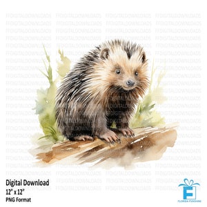 Porcupine PNG, Porcupine Clipart, Porcupine Design, Porcupine Sublimation, Watercolor Porcupine, Printable Porcupine, Digital Download #5510