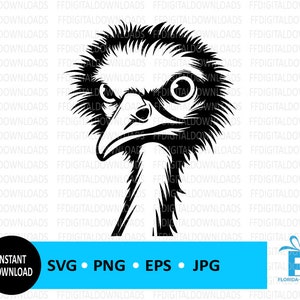 Ostrich Face SVG, Ostrich PNG, Ostrich Face Clipart, Ostrich Digital Design, Ostrich Vector, Cricut, Cut File, Clipart, Digital Download