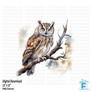 Owl Clipart, Watercolor Owl on Branch, Owl on Branch PNG, Digital Clipart, Owl Image, Sublimation, Printable Owl, Digital Download, #5568