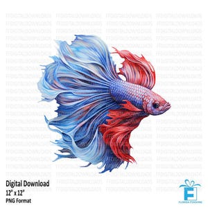 Imágenes prediseñadas de pez Betta, pez Betta Png, pez Betta rojo y azul, imágenes prediseñadas digitales de pez Betta, sublimación, imprimible, descarga digital n.° 5220