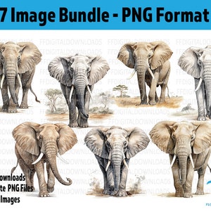 Imágenes prediseñadas de elefante, 7 PNG de alta calidad, elefante PNG, elefante de acuarela PNG, uso comercial, sublimación, imprimible, descargas digitales
