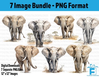 Lot de 7 images PNG aquarelle éléphant (téléchargement numérique)