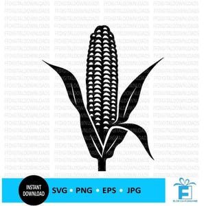 Corn SVG, Corn PNG, Corn Clipart, Corn Vector, husked corn svg, Corn Cob, Silhouette, EPS, Cricut, Cut File, Clipart, Digital Download