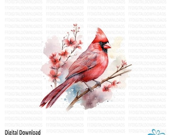 Cardinal PNG, Cardinal On Branch PNG, Watercolor Cardinal PNG, Cardinal clipart, Sublimation, Printable, Digital Download, #0225