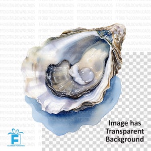 Oyster Clipart, Oyster PNG, Oyster Image, Watercolor Oyster Png ...