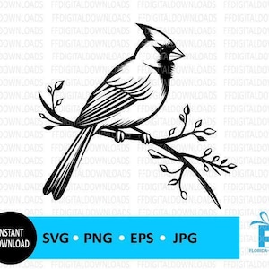 Kardinal SVG, Kardinal PNG, Kardinal Clipart, Kardinal Silhouette, Kardinal Vektor, Cricut, Cut Datei, Clipart, digitaler Download