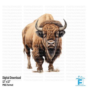 Bison Clipart, Bison Png, Bison Aquarela, Bison Clipart Digital, Bison Sublimação, Bison Imprimível, Download Digital, #4271
