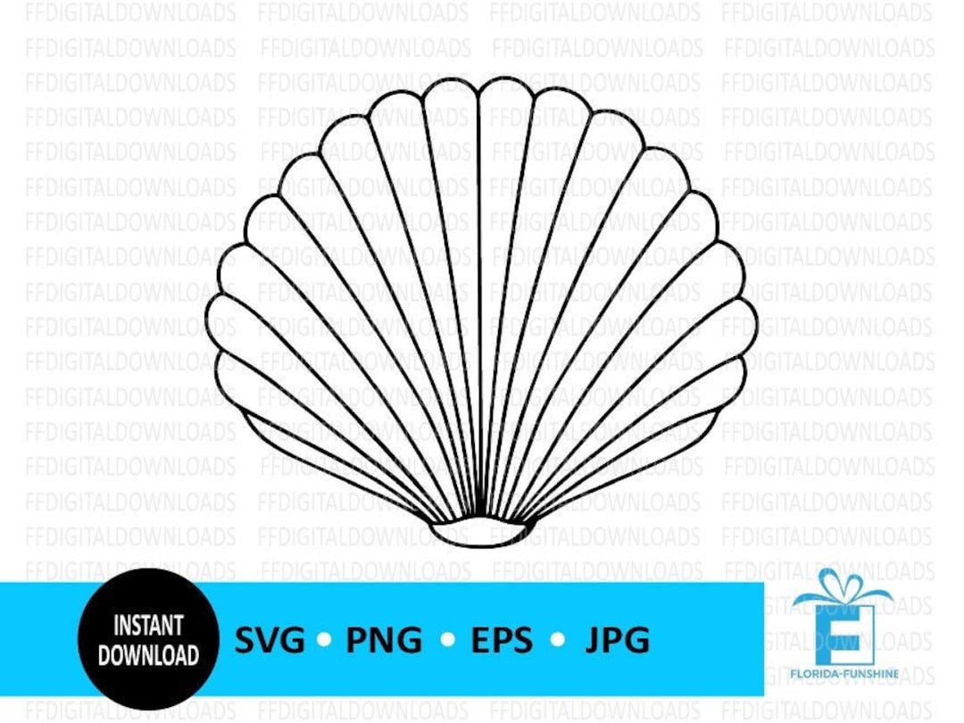 Seashell SVG Clam Shell Svg Seashell Svg Shell Clipart - Etsy