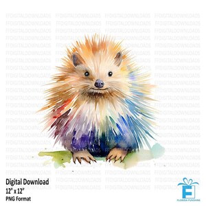 Porcupine PNG, Porcupine Clipart, Porcupine Design, Porcupine Sublimation, Watercolor Porcupine, Printable Porcupine, Digital Download #5509