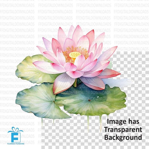 Lotus Flower PNG, Lotus Flower on Lilypad Clipart