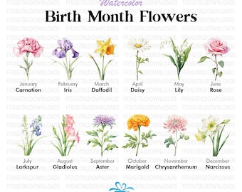 Paquete de imágenes prediseñadas de flores del mes de nacimiento Uso comercial Paquete de diseño digital de flores de nacimiento en acuarela Archivos PNG Descargar imágenes prediseñadas en acuarela