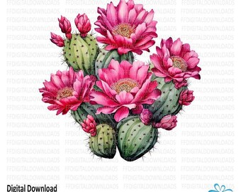 Cactus clipart, Cactus PNG, Cactus with tropical flowers, Watercolor Cactus, Sublimation Cactus, Printable Cactus, Digital Download, #0180