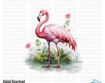 Flamingo Clipart, Flamingo PNG, Aquarell Flamingo, Flamingo Bild, digitale Clipart, Sublimation, DTG, bedruckbar, digitaler Download, #5463